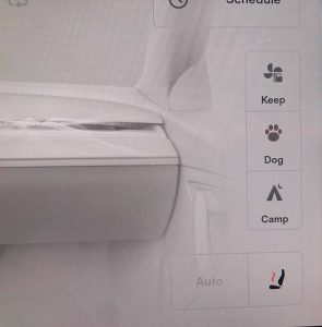 Tesla Dog Mode screen
