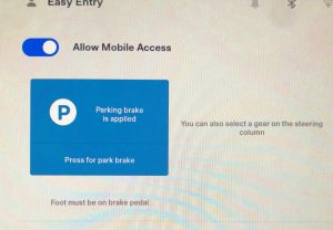 Tesla parking brake button