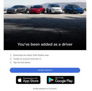 Tesla Car Access