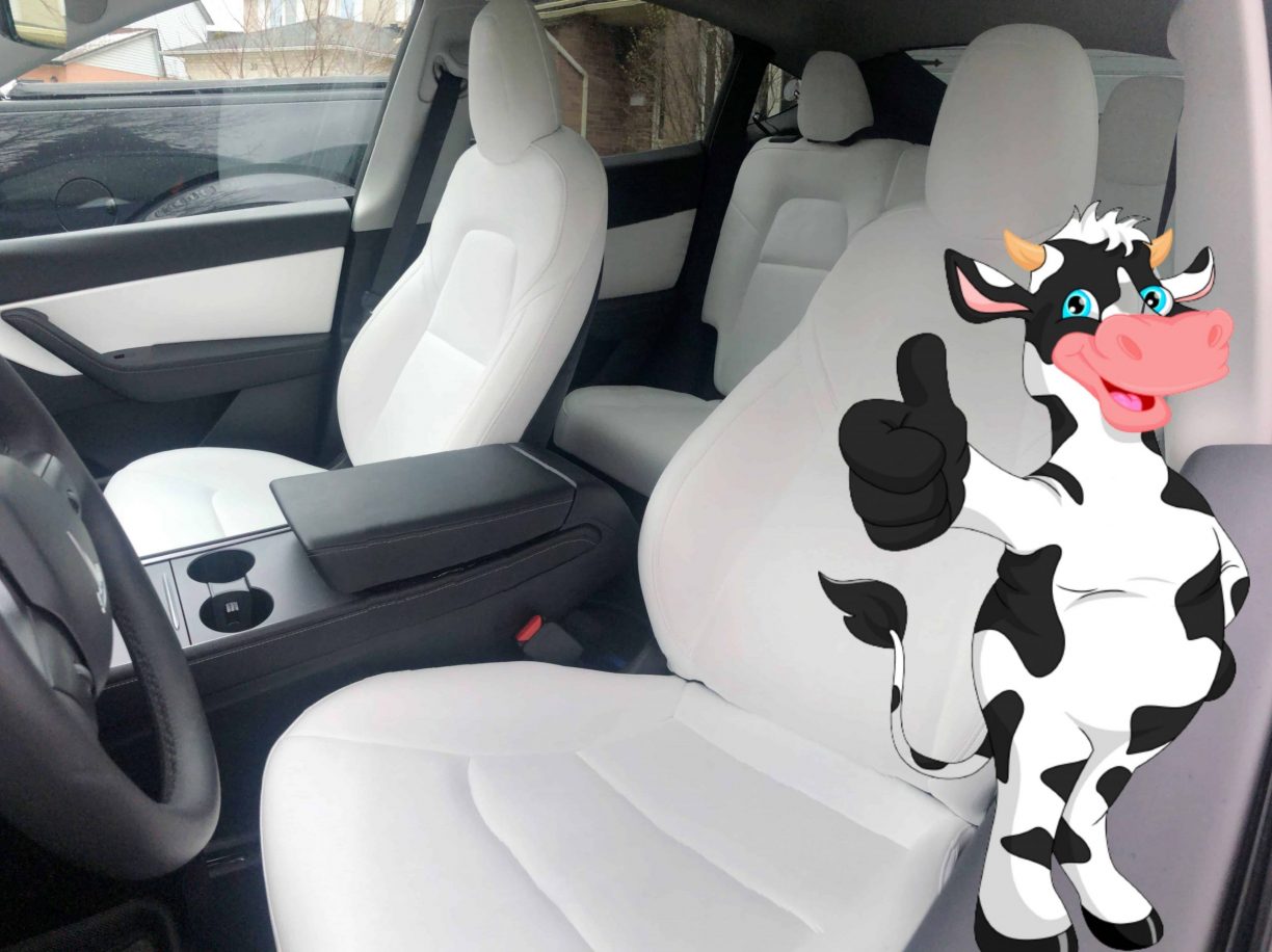 Tesla’s Vegan Leather Seats