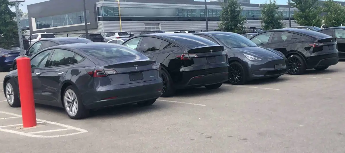 Multiple Tesla in a parking lot - What to Know Before Buying a Tesla