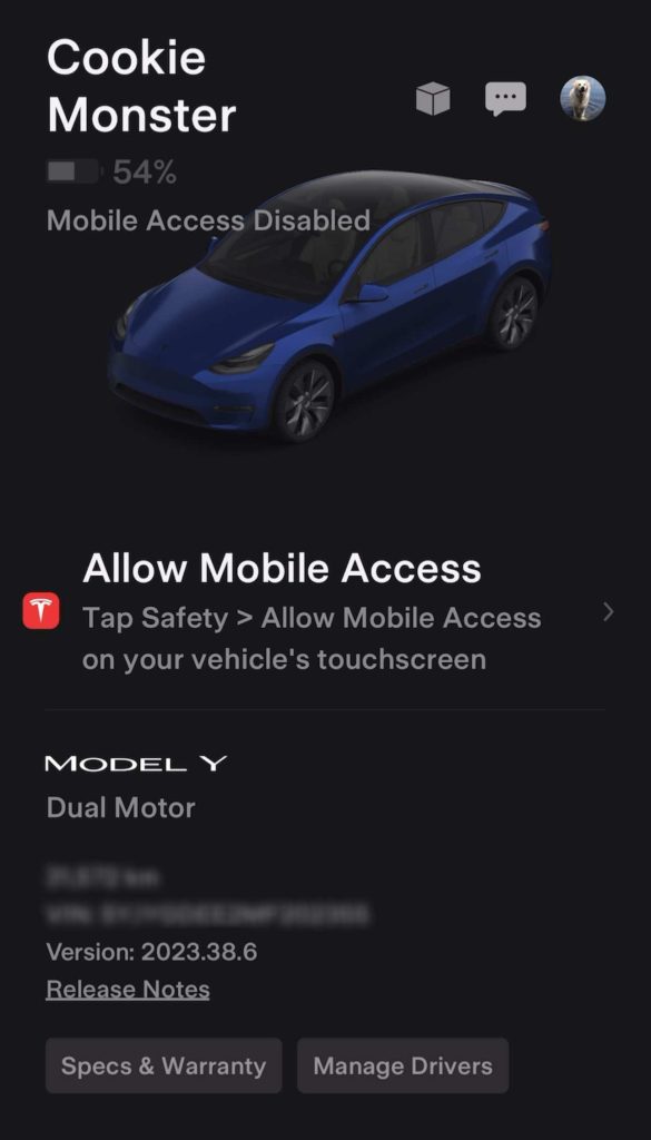 hide your Tesla location - Tesla app showing Mobile access blocked